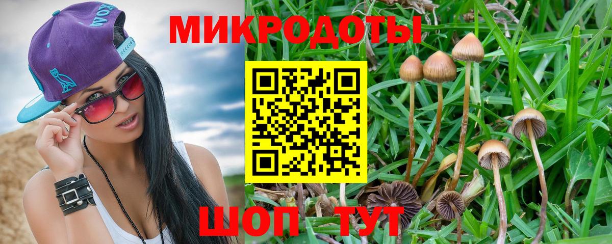 Галлюциногенные грибы Magic Shrooms Кызыл